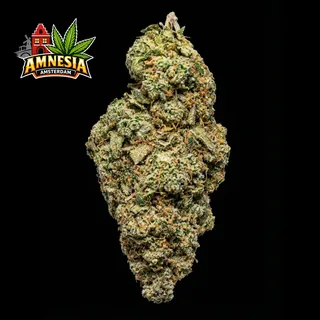 Amnesia Haze THC 20-25% сатива для доставки по Пхукету