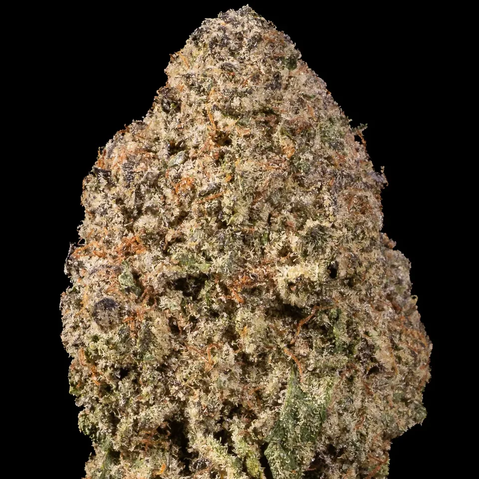 Black Truffle THC 18-27% frosty cannabis flower for weed delivery in Phuket