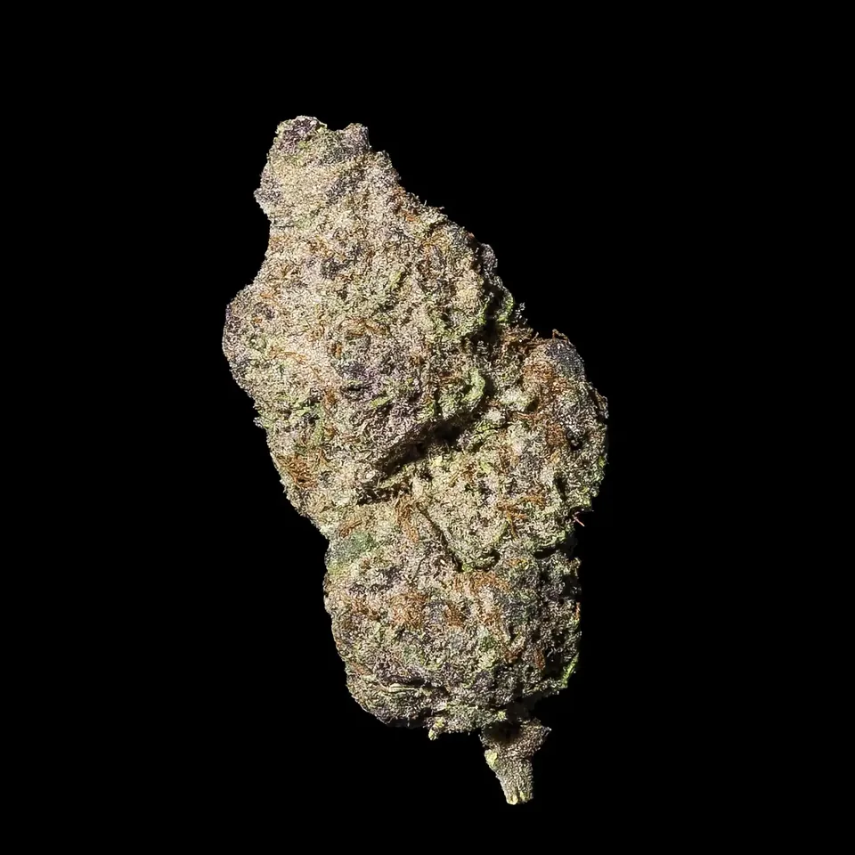 Black Out Cherry THC 22-28% cannabis flower for weed delivery in Phuket