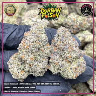 Durban Poison strain cannabis flower buds for Phuket delivery