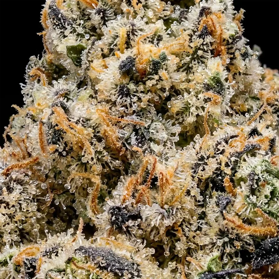 Falcon 9 THC 24-27% cannabis flower for weed delivery in Phuket