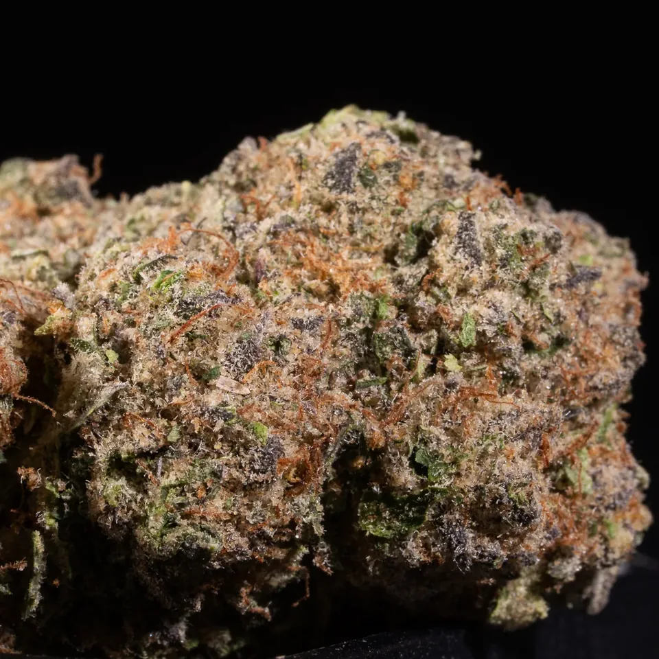 Gallactic Gas THC 22-29% cannabis flower close-up for weed delivery in Phuket