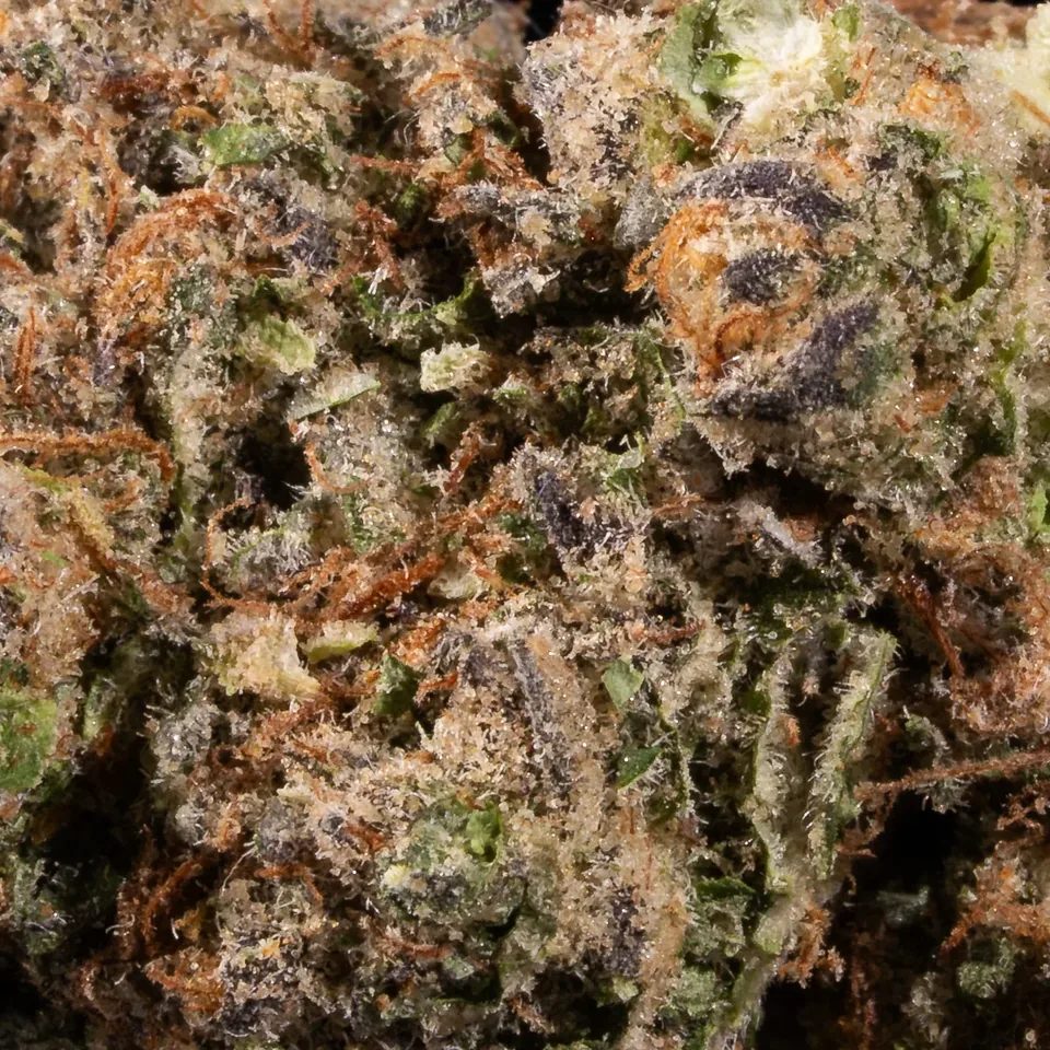 Gallactic Gas THC 22-29% trichome-rich cannabis flower close-up for weed delivery in Phuket