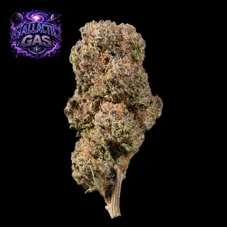Gallactic Gas THC 22-29% cannabis flower with logo for weed delivery in Phuket