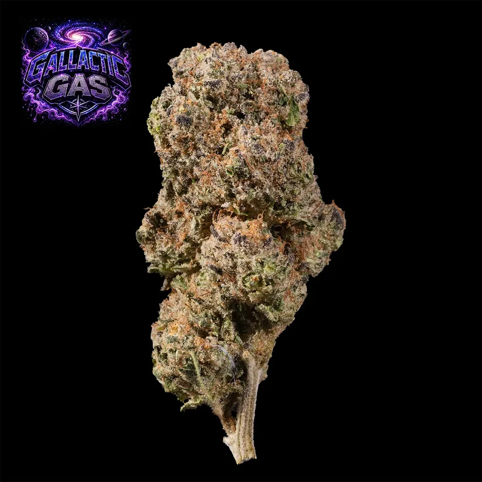 Gallactic Gas THC 22-29% cannabis flower with logo for weed delivery in Phuket