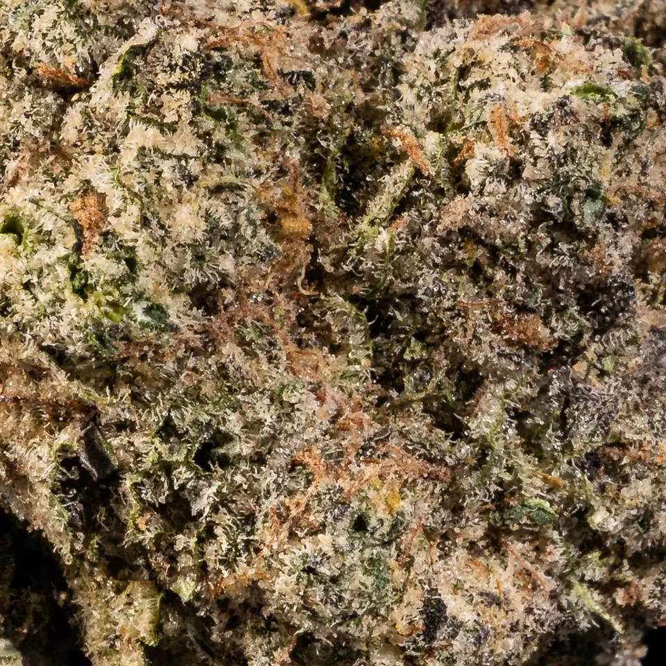 Green Crack THC 20-27% trichome-rich cannabis flower close-up for weed delivery in Phuket