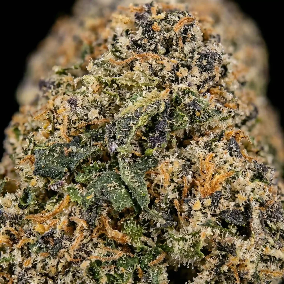 Honeycomb Pave THC 24-25% cannabis flower for weed delivery in Phuket