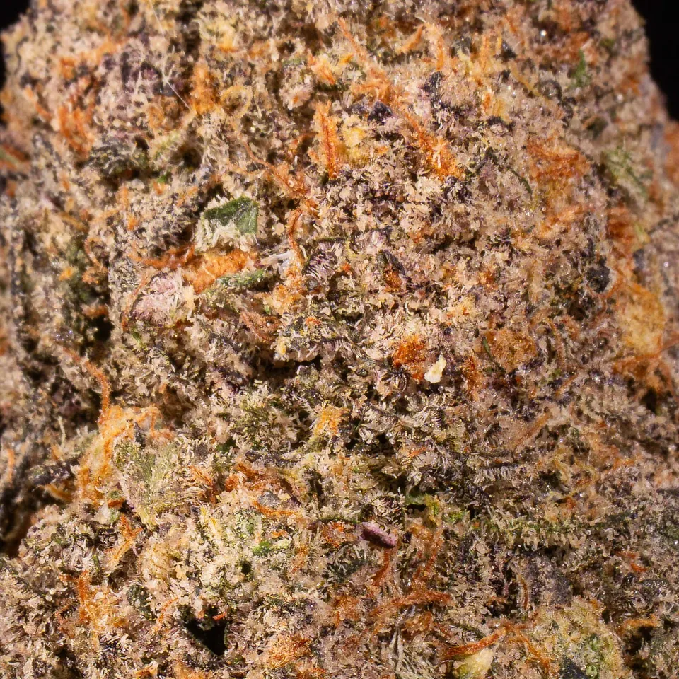 King Juice THC 22-29% sativa cannabis flower buds for weed delivery in Phuket