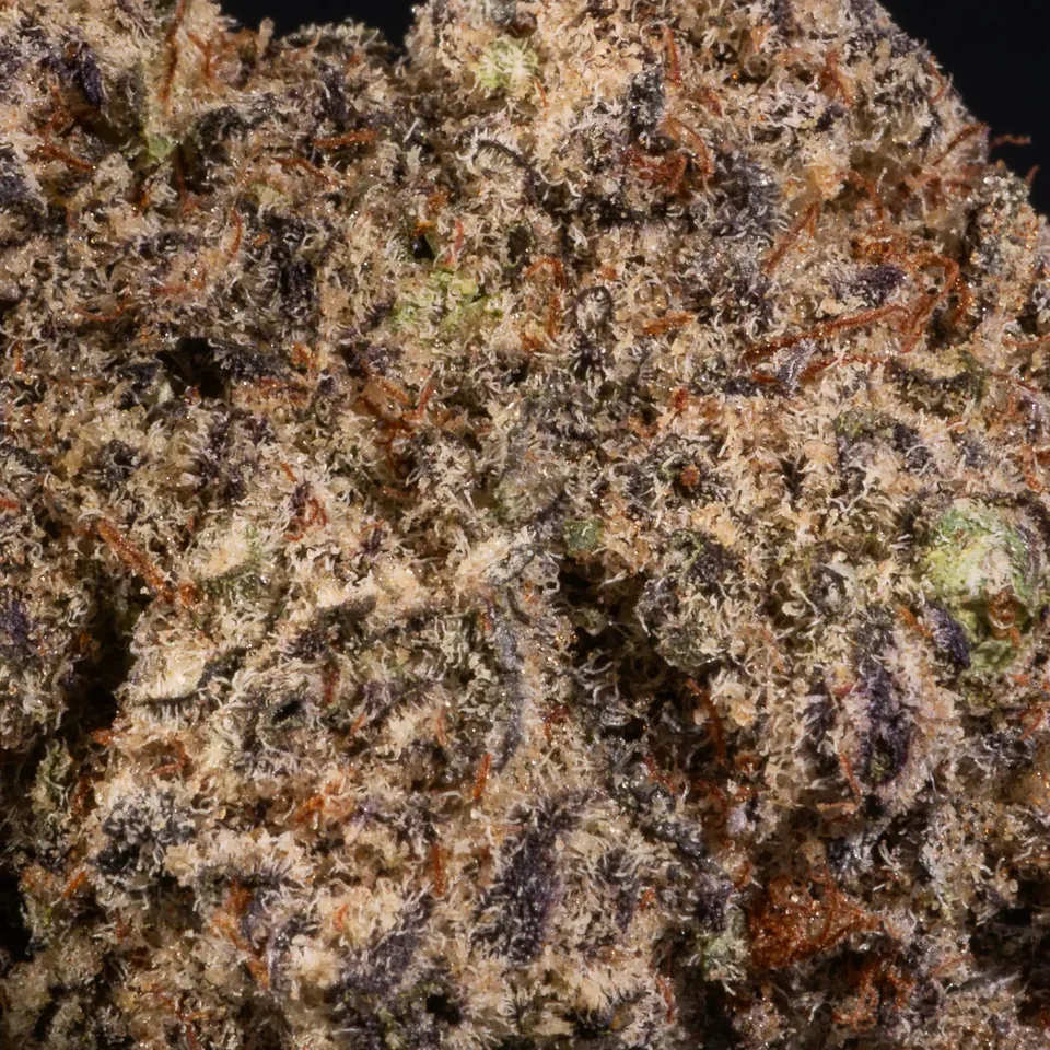 La Banana THC 25% cannabis flower close-up for weed delivery in Phuket