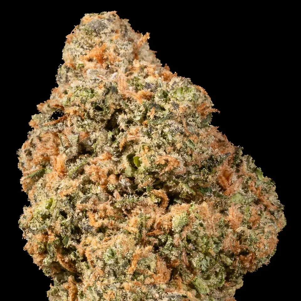 Lava Burger THC 24% cannabis flower bud for weed delivery in Phuket