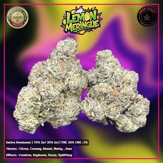 Lemon Merengue THC 26% cannabis flower for weed delivery in Phuket
