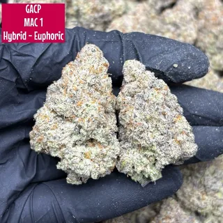 MAC 1 strain cannabis flower buds for Phuket delivery