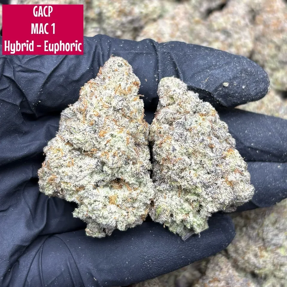 MAC 1 strain cannabis flower buds for Phuket delivery