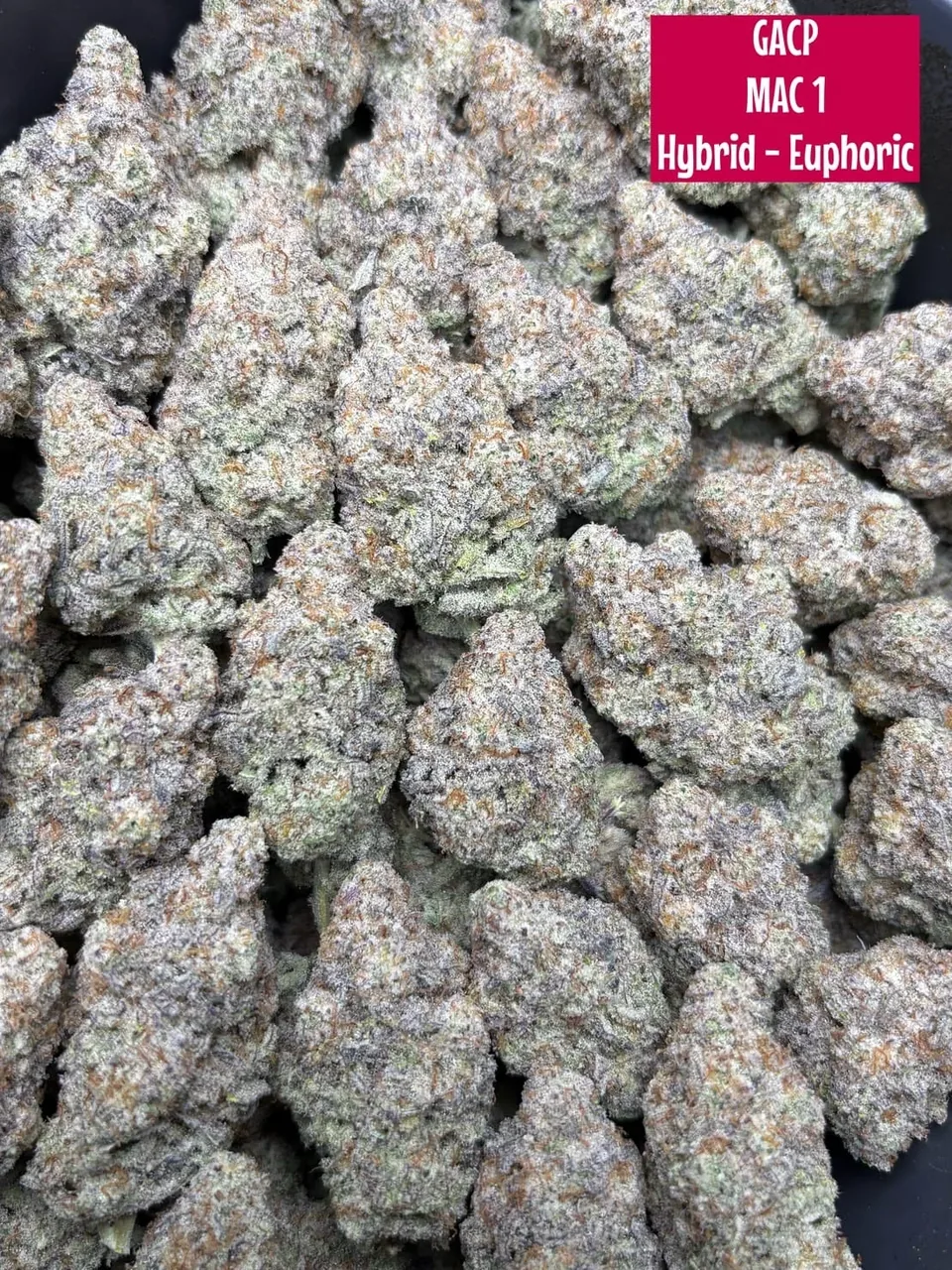 MAC 1 strain cannabis flower buds for Phuket delivery