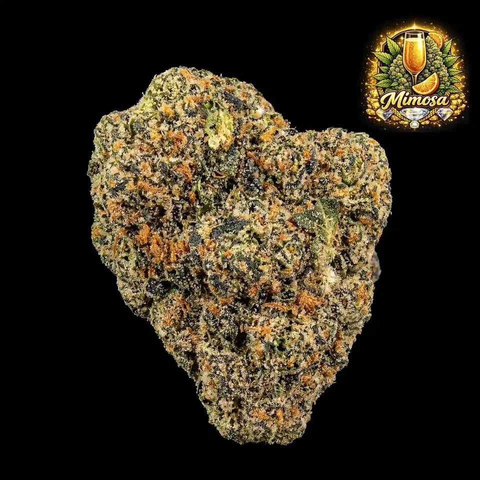 Mimosa THC 29% cannabis flower for weed delivery in Phuket
