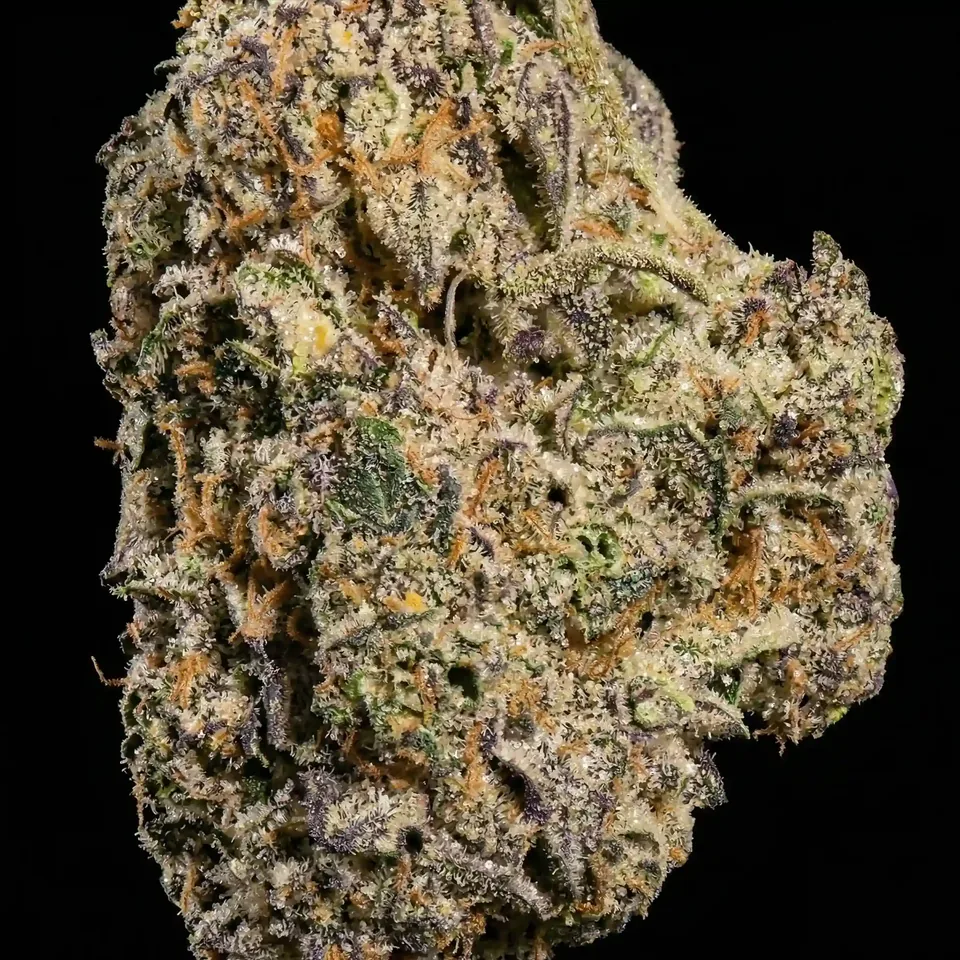 Persimmon THC 25-28% cannabis flower for weed delivery in Phuket