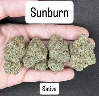 Sunburn strain sativa cannabis flower buds for Phuket delivery