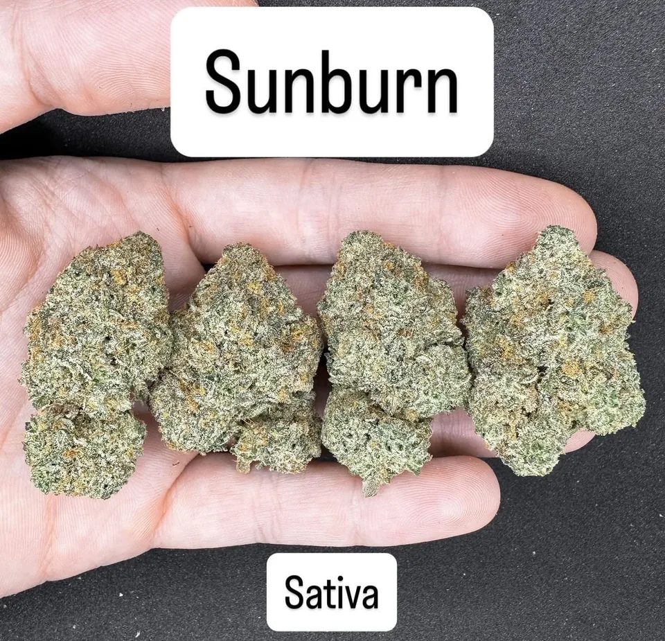 Sunburn strain sativa cannabis flower buds for Phuket delivery