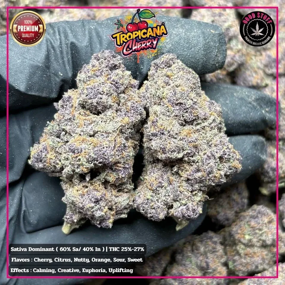 Tropicana Cherry strain cannabis flower buds for Phuket delivery