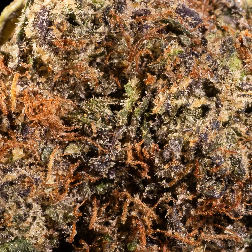 Uptown Girl THC 20-25% trichome-rich cannabis flower close-up for weed delivery in Phuket