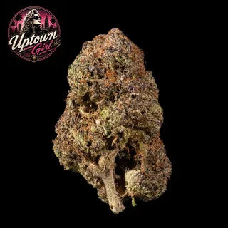 Uptown Girl THC 20-25% cannabis flower with logo for weed delivery in Phuket