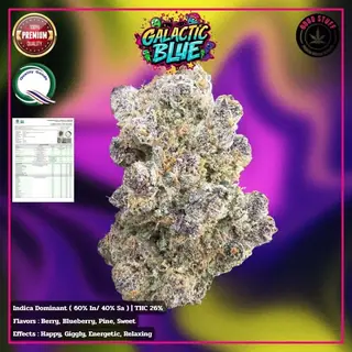 Galactic Blue THC 21-26% cannabis flower for weed delivery in Phuket