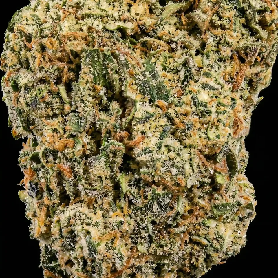 White Widow THC 18-25% cannabis flower for weed delivery in Phuket